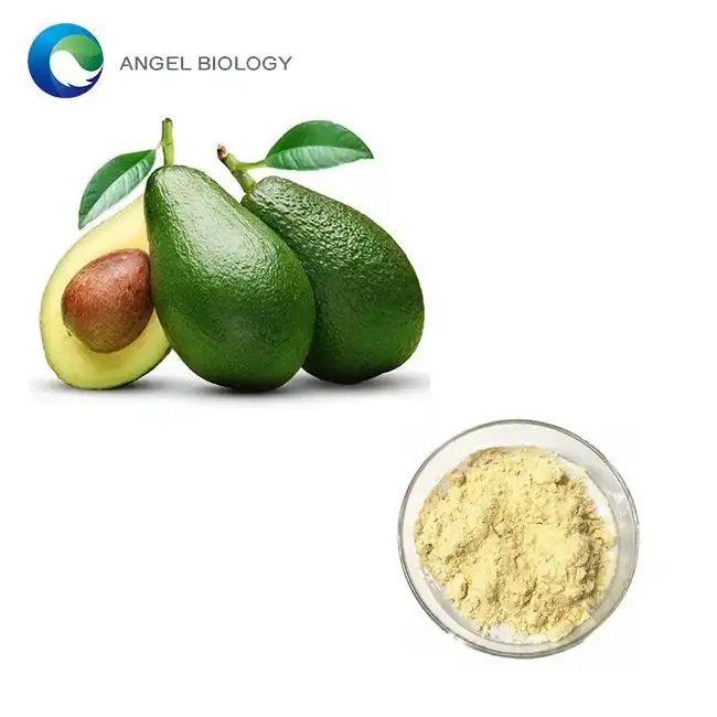 Antioxidant Power: How Avocado Extract Powder Improves Skin Health？